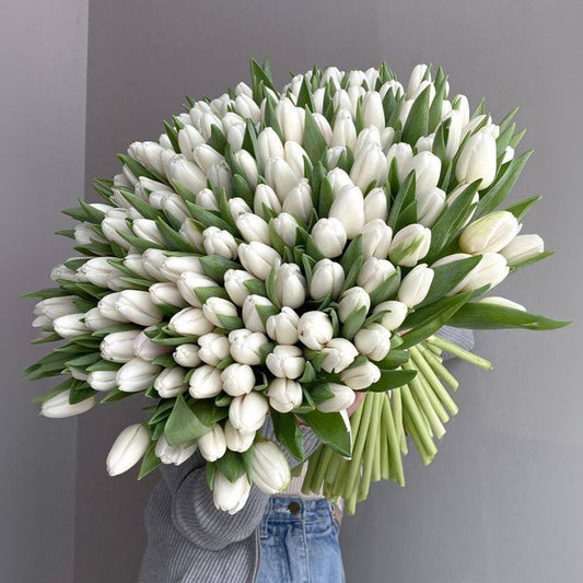 Tulip Tranquility Bouquet
